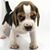 member meechai_sa