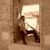 member mehmed_uyt