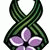 member milosmajki