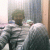 mishu199 profile picture
