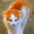 mitrevna profile picture