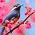 member mohammad_s