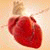 member mohammed_i3