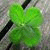 mokhtar_mo2 profile picture