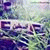 member mosaab_kha