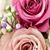 member mouhammed_2