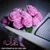 member mourad_dho