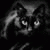 mukhtar_kh profile picture