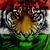 member musab_gard
