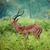 member mustafa_sa4