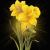 mylov profile picture