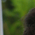 NICOLASp profile picture
