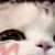 Na3omiOs profile picture