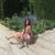 Natalia2204 profile picture