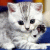 member Nina_Lesyk