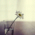 Nourden profile picture