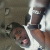 member n0ne