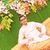 member nahiyan_bi