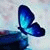 member nano_nano