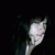 member natila