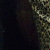 member nayelimariluml