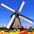 member nederlands