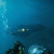 nemo666 profile picture