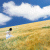 ngan_rg profile picture