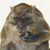 member nicolas_la