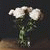 nil_fanty profile picture