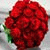 member nodam_sila