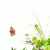 member noor_alsaa