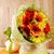 member noor_noor2
