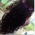 member nora__