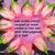 norci_alno profile picture