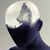 member nour_zayto