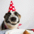 OlegDNR profile picture