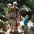 member olchik_dru