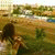 member olga_kasar