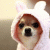 PS_Lika profile picture