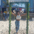 member PaulaAndressa