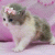Penguen132 profile picture