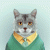 Pizzicato profile picture