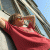 Praha profile picture