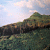 Purandar profile picture