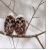 panalpinos profile picture
