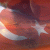 patriot90 profile picture