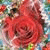 member peacerl_qa
