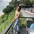 member pecharpha_