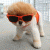 peheo_daisy_9x profile picture